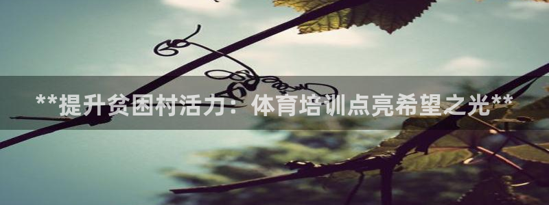 极悦平台登录最新版本更新内容：**提升贫困村活力：体