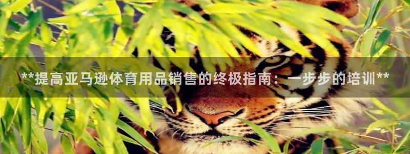 极悦娱乐官网最新版本更新内容下载：**提高亚马逊体育