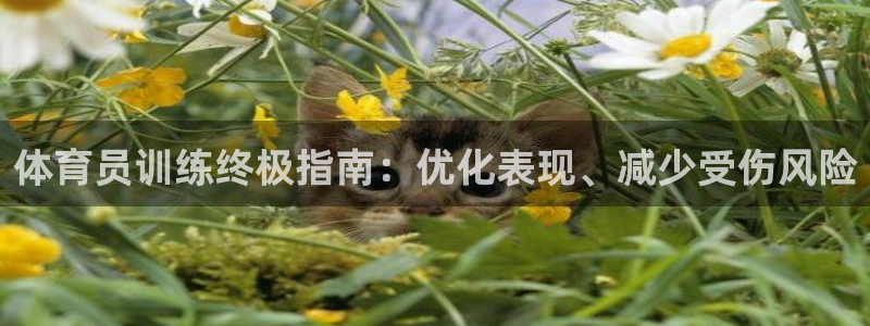 极悦平台官方网站入口链接下载：体育员训练终极指南：优