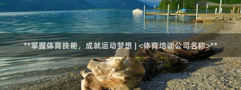 极悦平台有风险吗现在：**掌握体育技能，成就运动梦想