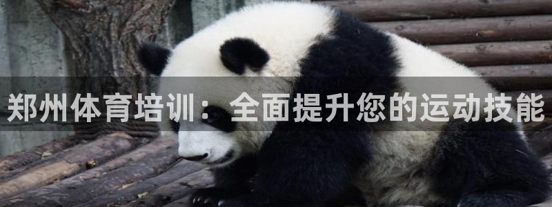 极悦娱乐的背景和历史背景介绍：郑州体育培训：全面提升