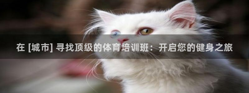 极悦平台是干什么的：在 [城市] 寻找顶级的体育培训