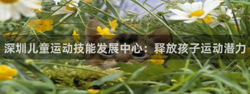 极悦平台官方网站下载安卓：深圳儿童运动技能发展中心：