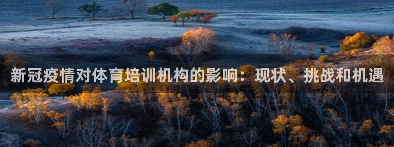 极悦平台官网入口网址：新冠疫情对体育培训机构的影响：
