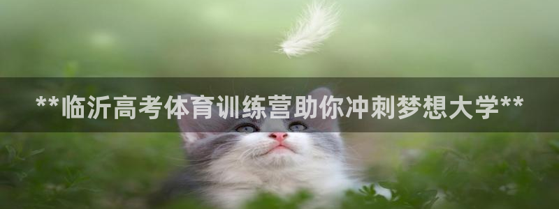 石家庄极悦空间设计有限公司：**临沂高考体育训练营助