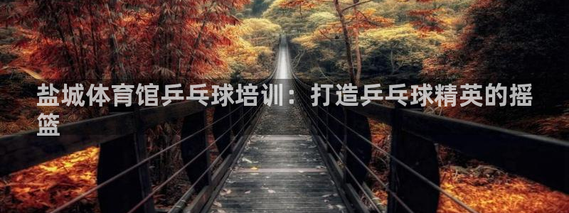 极悦益生菌猫粮怎么样：盐城体育馆乒乓球培训：打造乒乓