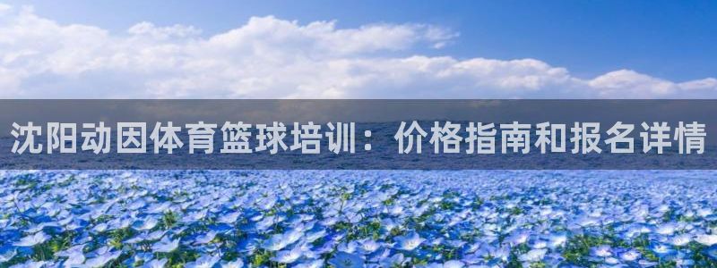 极悦娱乐最新版本更新内容介绍：沈阳动因体育篮球培训：