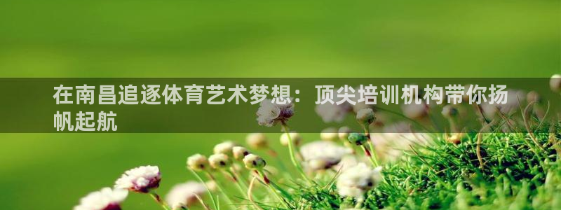 极悦平台注册流程图：在南昌追逐体育艺术梦想：顶尖培训
