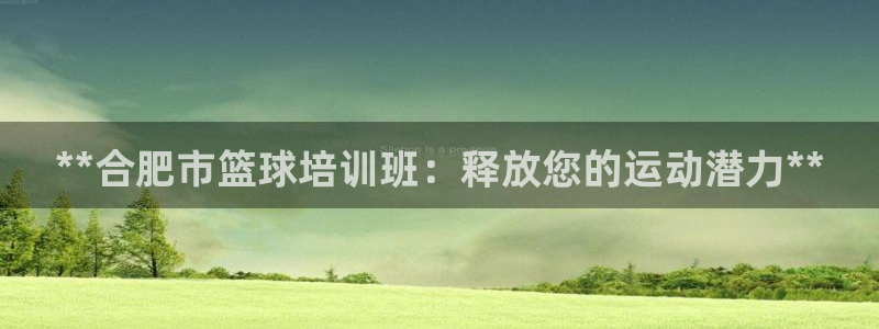 极悦娱乐最新版本更新内容分享：**合肥市篮球培训班：