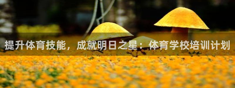 极悦娱乐官网客服联系方式是什么：提升体育技能，成就明