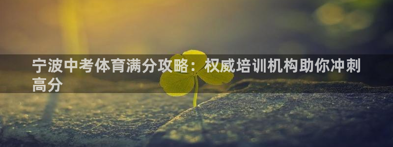 极悦娱乐代理多少钱一个月：宁波中考体育满分攻略：权威