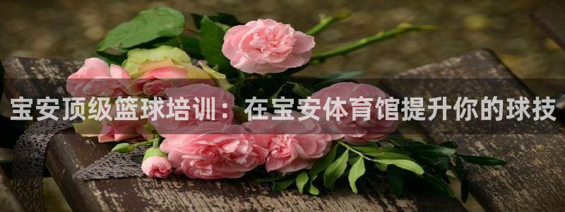 极悦娱乐的最新版本更新内容在哪：宝安顶级篮球培训：在