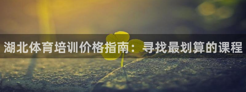 极悦平台看7O777：湖北体育培训价格指南：寻找最划
