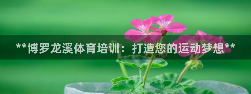 极悦官网注册最新版本更新内容是什么：**博罗龙溪体育