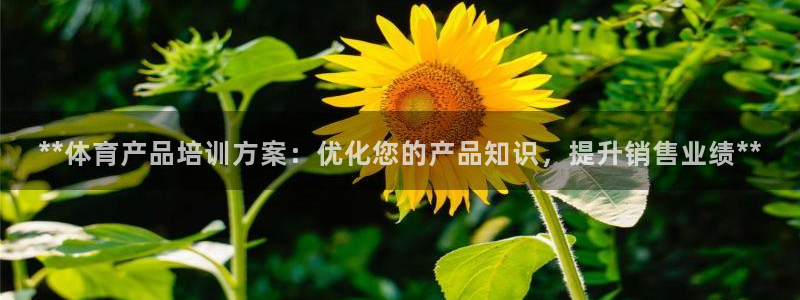 极悦平台注册官方网站下载安装手机版：**体育产品培训