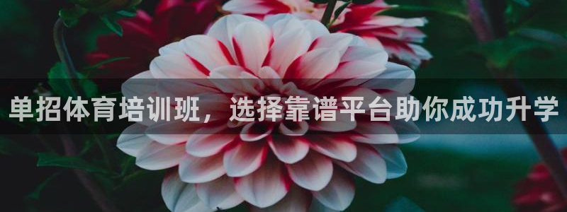 极悦生活家是什么平台的软件：单招体育培训班，选择靠谱