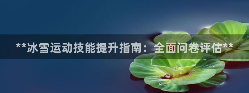 无锡极悦科技有限公司：**冰雪运动技能提升指南：全面