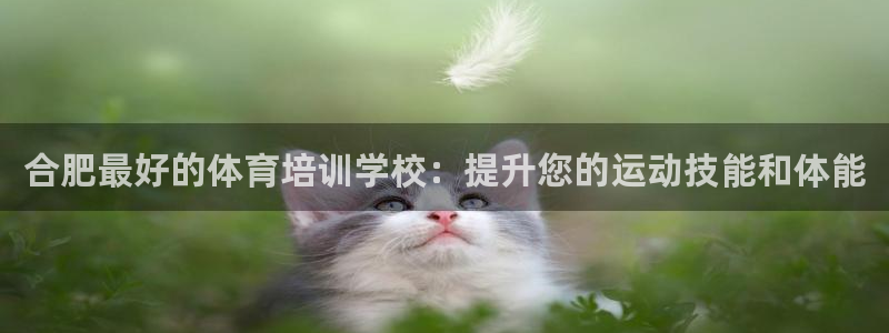 极悦平台是干什么的：合肥最好的体育培训学校：提升您的