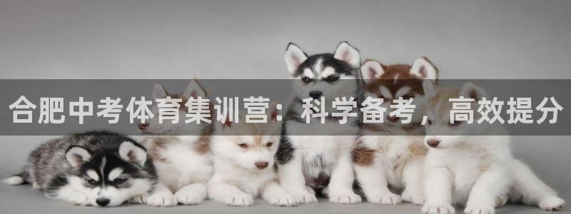 极悦官方网站入口网址是什么：合肥中考体育集训营：科学