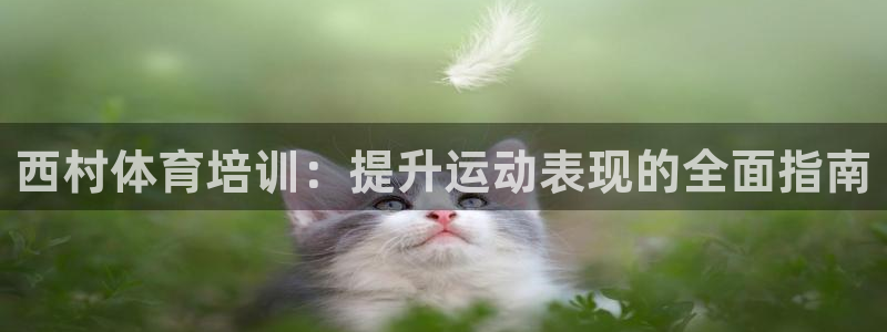 极悦平台注册官方网站下载安卓版：西村体育培训：提升运