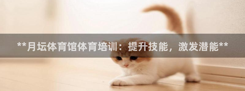 极悦娱乐创始人背景故事介绍：**月坛体育馆体育培训：