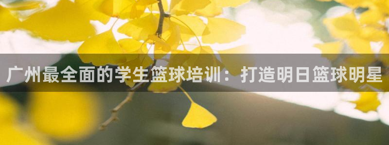 极悦娱乐官方网站下载：广州最全面的学生篮球培训：打造