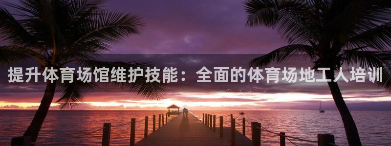 极悦平台是干嘛的软件：提升体育场馆维护技能：全面的体