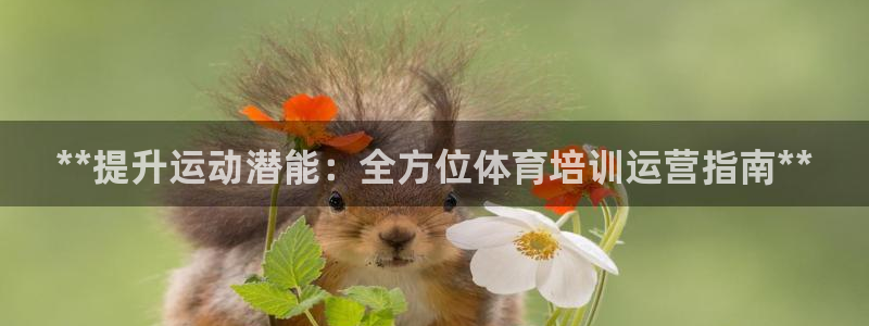 极悦平台官网登录网址查询：**提升运动潜能：全方位体