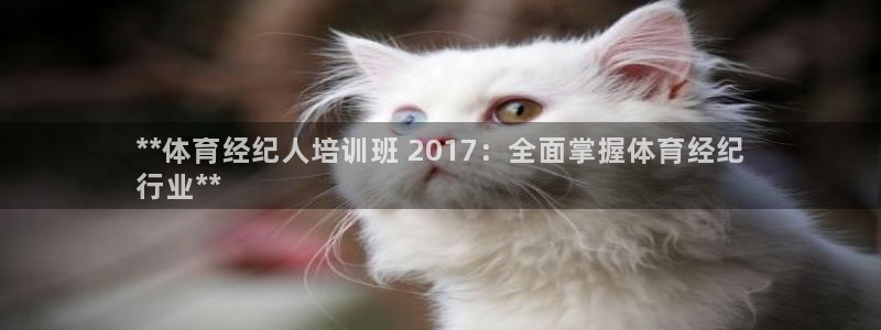 极悦平台注册用户名生成器是什么：**体育经纪人培训班