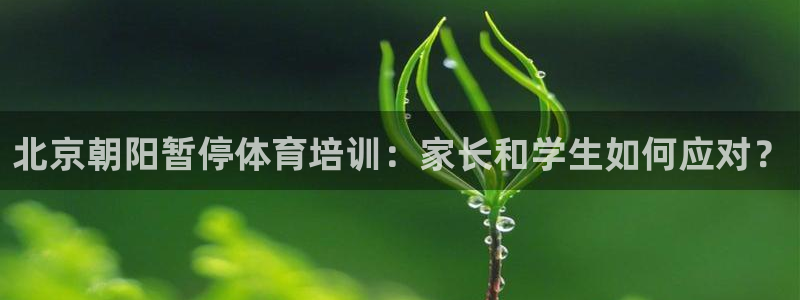 极悦平台注册资金多少亿：北京朝阳暂停体育培训：家长和