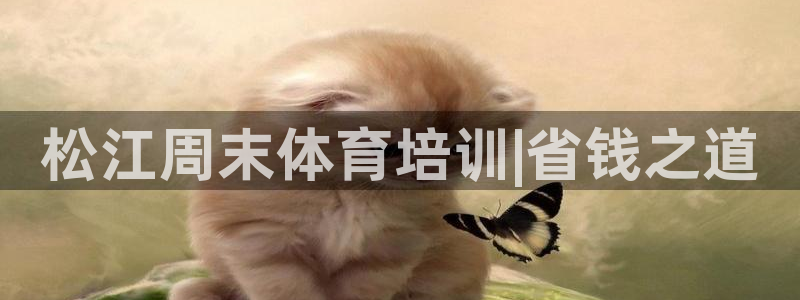 极悦平台和蓝狮平台区别在哪：松江周末体育培训|省钱之