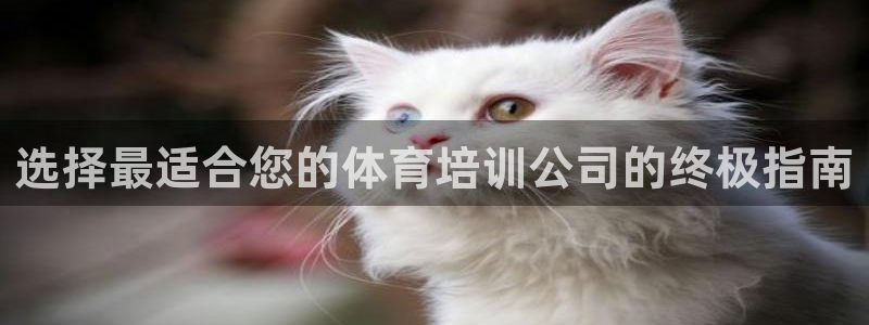 极悦平台注册官方网站下载安装苹果：选择最适合您的体育