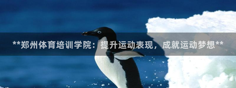 极悦娱乐贴吧：**郑州体育培训学院：提升运动表现，成