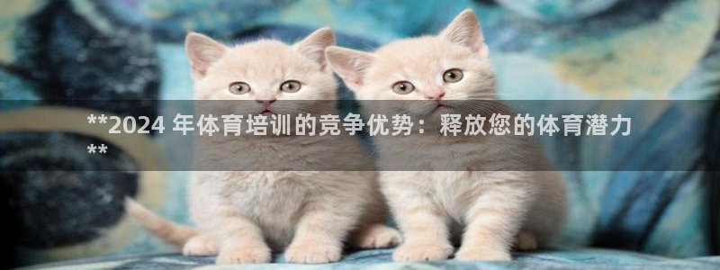 极悦平台非7O777：**2024 年体育培训的竞争