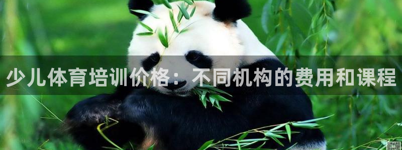 极悦官方网站入口网址是多少：少儿体育培训价格：不同机