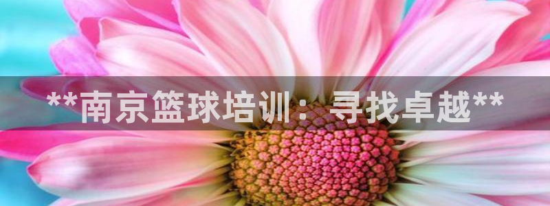 极悦平台网址皮皮虾：**南京篮球培训：寻找卓越**
