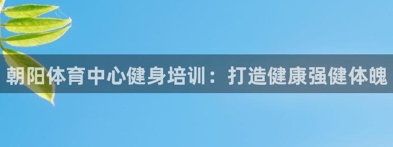 极悦官网注册最新版本更新内容是什么：朝阳体育中心健身