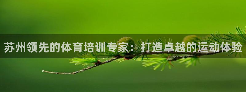 极悦娱乐代理多少钱一年：苏州领先的体育培训专家：打造