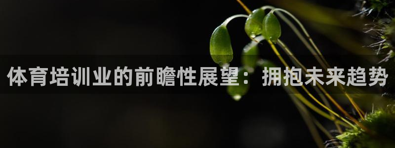 极悦娱乐公司最新招聘信息：体育培训业的前瞻性展望：拥