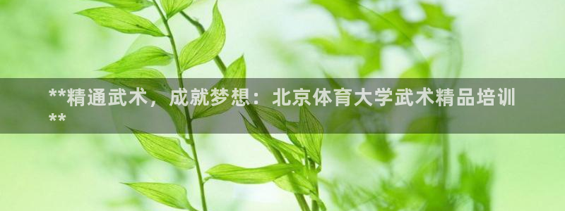 极悦平台app安全吗是真的吗：**精通武术，成就梦想