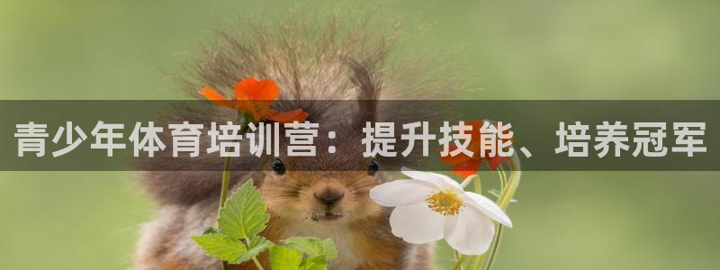 极悦娱乐官网下载：青少年体育培训营：提升技能、培养冠