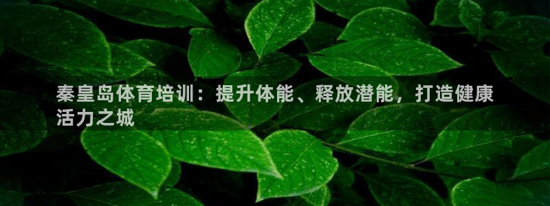 极悦娱乐的内部员工福利：秦皇岛体育培训：提升体能、释