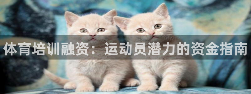 极悦平台官方网站登录不了：体育培训融资：运动员潜力的