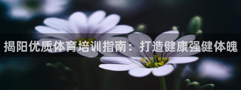 极悦平台注册官方网站下载手机版：揭阳优质体育培训指南