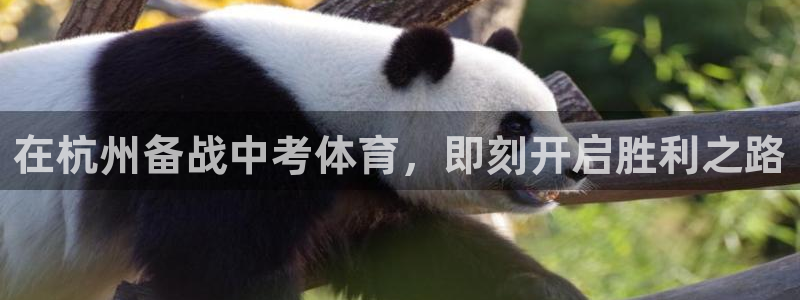 极悦平台是干什么的：在杭州备战中考体育，即刻开启胜利