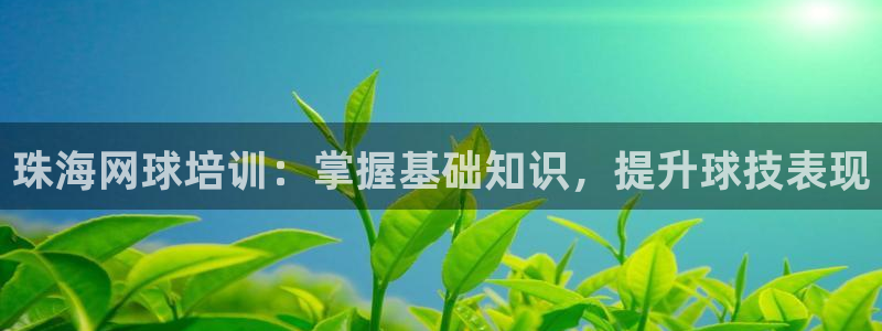 极悦平台官网登录不了怎么办：珠海网球培训：掌握基础知