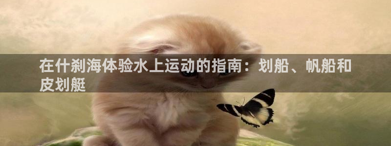 极悦平台登录最新版本更新内容是什么：在什刹海体验水上