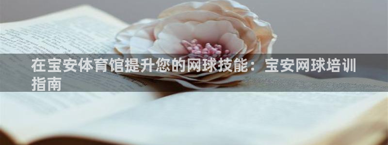 极悦平台注册资金多少钱：在宝安体育馆提升您的网球技能