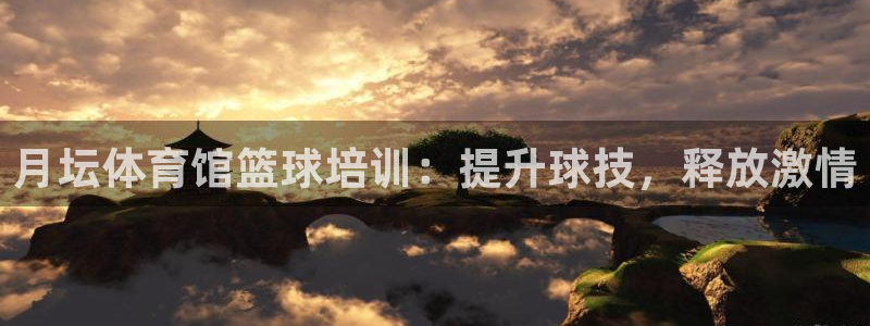 极悦平台登录不进去怎么回事呢：月坛体育馆篮球培训：提