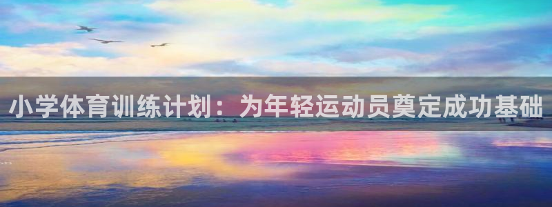 极悦平台注册登录：小学体育训练计划：为年轻运动员奠定